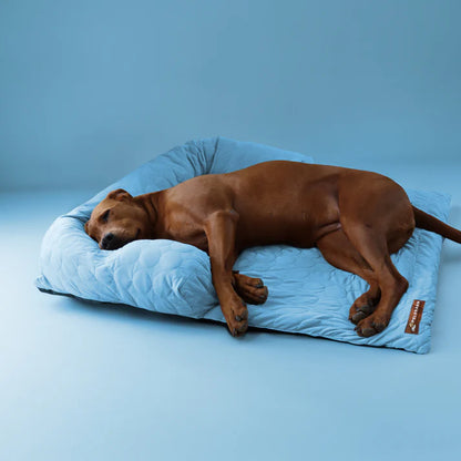 Beat the Heat – Give Your Pet the Coolest Nap Ever! - Big Cart Sky