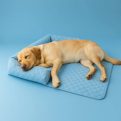 Beat the Heat – Give Your Pet the Coolest Nap Ever! - Big Cart Sky