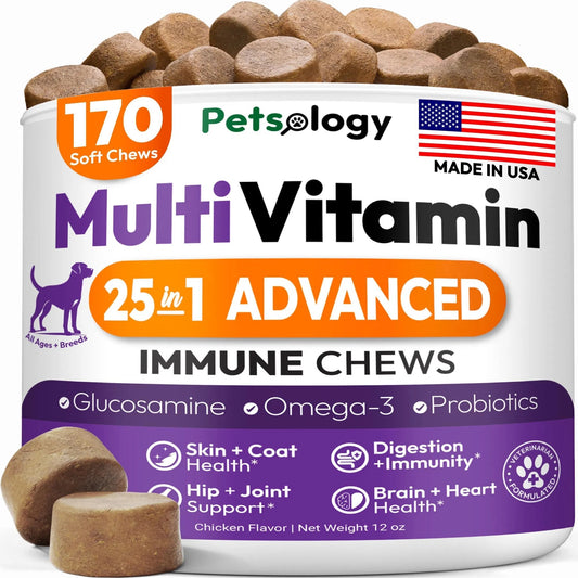 Dog Multivitamin Chewable Dog Vitamins And Supplements With Glucosamine 170 Chews Hip & Joint Pet Immune Support Skin & Coat Gut & Heart Health Senior & Puppy Multivitamin Pet Supplement - Big Cart Sky