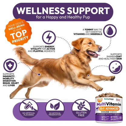 Dog Multivitamin Chewable Dog Vitamins And Supplements With Glucosamine 170 Chews Hip & Joint Pet Immune Support Skin & Coat Gut & Heart Health Senior & Puppy Multivitamin Pet Supplement - Big Cart Sky