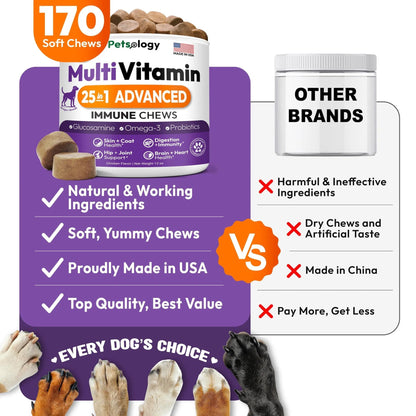 Dog Multivitamin Chewable Dog Vitamins And Supplements With Glucosamine 170 Chews Hip & Joint Pet Immune Support Skin & Coat Gut & Heart Health Senior & Puppy Multivitamin Pet Supplement - Big Cart Sky