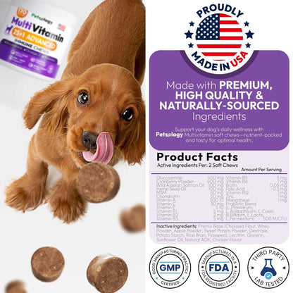 Dog Multivitamin Chewable Dog Vitamins And Supplements With Glucosamine 170 Chews Hip & Joint Pet Immune Support Skin & Coat Gut & Heart Health Senior & Puppy Multivitamin Pet Supplement - Big Cart Sky