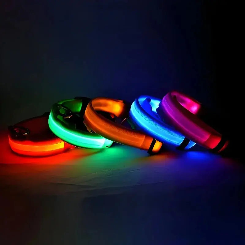 Dog Collar Nylon LED Night Safety Flashing Glow In The Dark Pet Dog Leash pet Dogs Luminous Fluorescent  dog accessories collar - Big Cart Sky