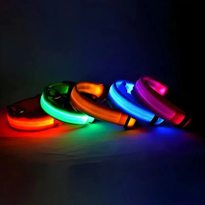Dog Collar Nylon LED Night Safety Flashing Glow In The Dark Pet Dog Leash pet Dogs Luminous Fluorescent  dog accessories collar - Big Cart Sky