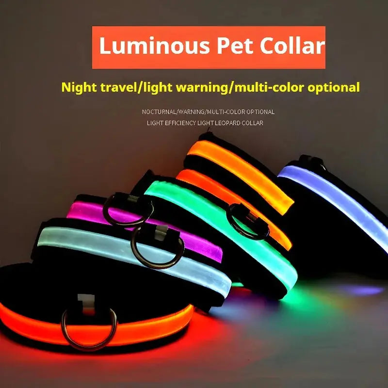 Dog Collar Nylon LED Night Safety Flashing Glow In The Dark Pet Dog Leash pet Dogs Luminous Fluorescent  dog accessories collar - Big Cart Sky