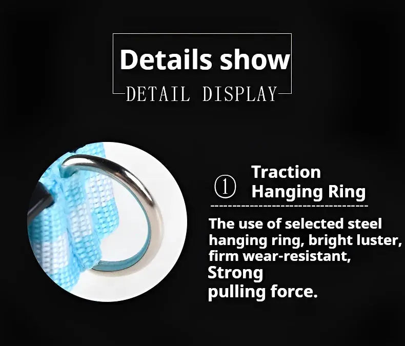 Dog Collar Nylon LED Night Safety Flashing Glow In The Dark Pet Dog Leash pet Dogs Luminous Fluorescent  dog accessories collar - Big Cart Sky