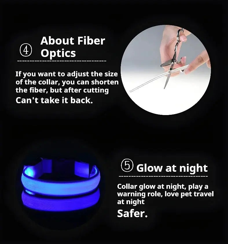 Dog Collar Nylon LED Night Safety Flashing Glow In The Dark Pet Dog Leash pet Dogs Luminous Fluorescent  dog accessories collar - Big Cart Sky