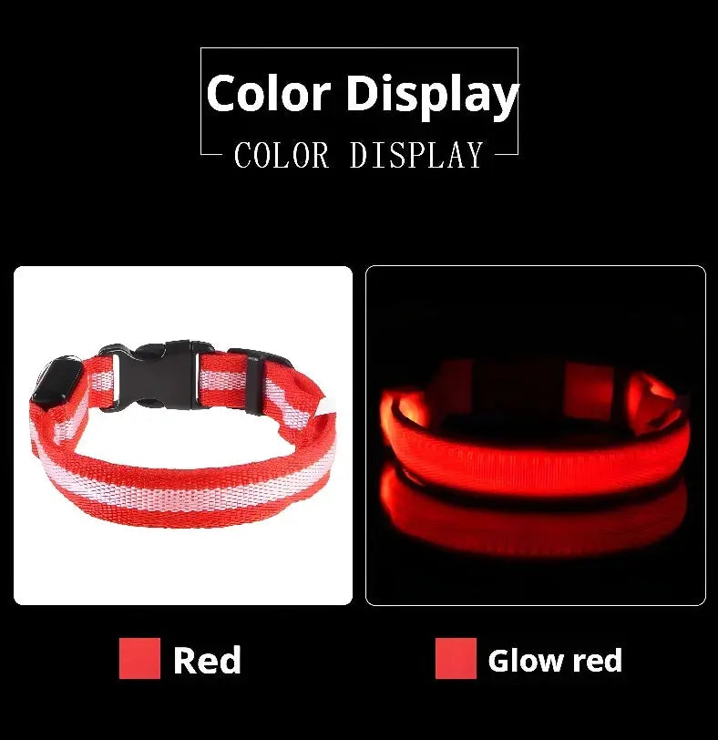 Dog Collar Nylon LED Night Safety Flashing Glow In The Dark Pet Dog Leash pet Dogs Luminous Fluorescent  dog accessories collar - Big Cart Sky