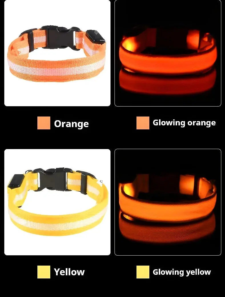 Dog Collar Nylon LED Night Safety Flashing Glow In The Dark Pet Dog Leash pet Dogs Luminous Fluorescent  dog accessories collar - Big Cart Sky