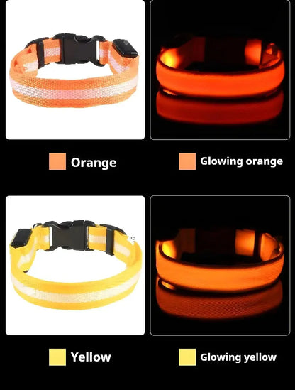 Dog Collar Nylon LED Night Safety Flashing Glow In The Dark Pet Dog Leash pet Dogs Luminous Fluorescent  dog accessories collar - Big Cart Sky