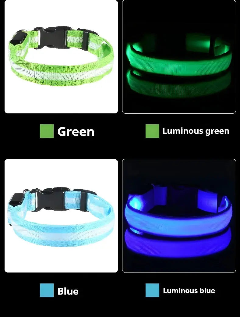Dog Collar Nylon LED Night Safety Flashing Glow In The Dark Pet Dog Leash pet Dogs Luminous Fluorescent  dog accessories collar - Big Cart Sky