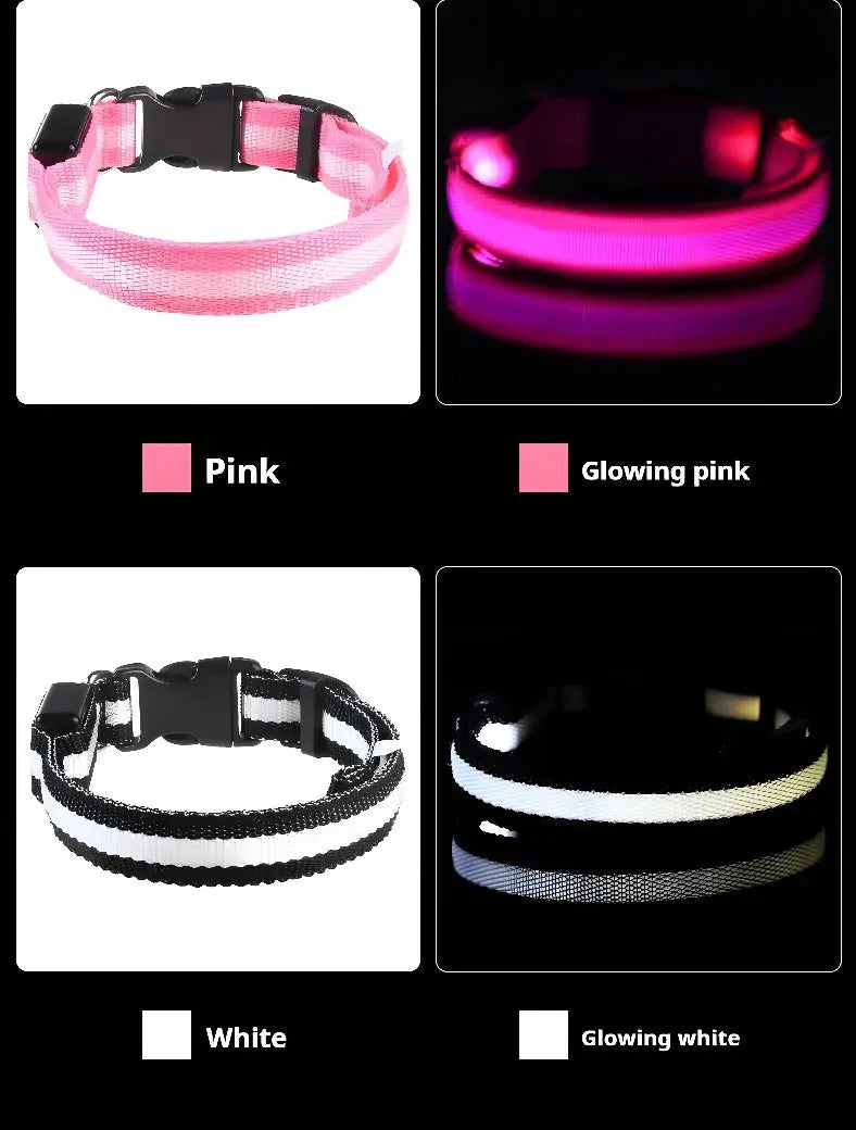 Dog Collar Nylon LED Night Safety Flashing Glow In The Dark Pet Dog Leash pet Dogs Luminous Fluorescent  dog accessories collar - Big Cart Sky