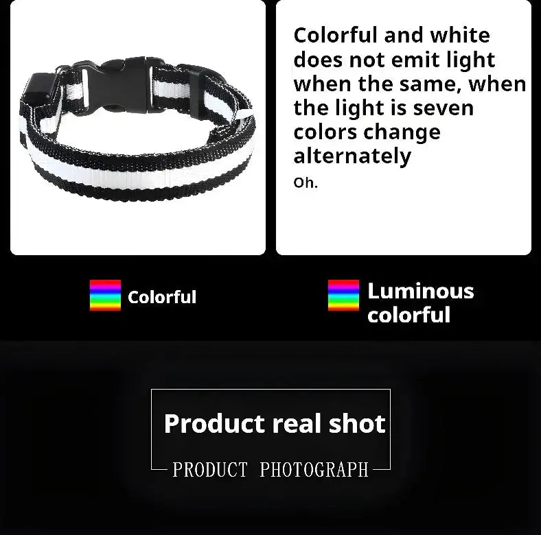 Dog Collar Nylon LED Night Safety Flashing Glow In The Dark Pet Dog Leash pet Dogs Luminous Fluorescent  dog accessories collar - Big Cart Sky