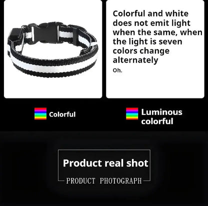 Dog Collar Nylon LED Night Safety Flashing Glow In The Dark Pet Dog Leash pet Dogs Luminous Fluorescent  dog accessories collar - Big Cart Sky