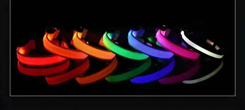 Dog Collar Nylon LED Night Safety Flashing Glow In The Dark Pet Dog Leash pet Dogs Luminous Fluorescent  dog accessories collar - Big Cart Sky