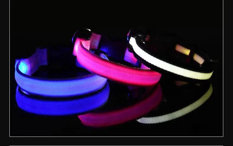 Dog Collar Nylon LED Night Safety Flashing Glow In The Dark Pet Dog Leash pet Dogs Luminous Fluorescent  dog accessories collar - Big Cart Sky