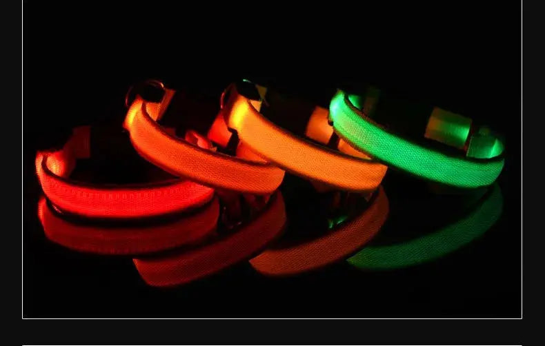 Dog Collar Nylon LED Night Safety Flashing Glow In The Dark Pet Dog Leash pet Dogs Luminous Fluorescent  dog accessories collar - Big Cart Sky