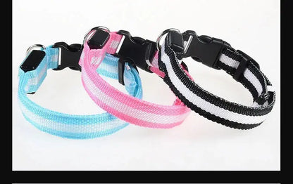 Dog Collar Nylon LED Night Safety Flashing Glow In The Dark Pet Dog Leash pet Dogs Luminous Fluorescent  dog accessories collar - Big Cart Sky