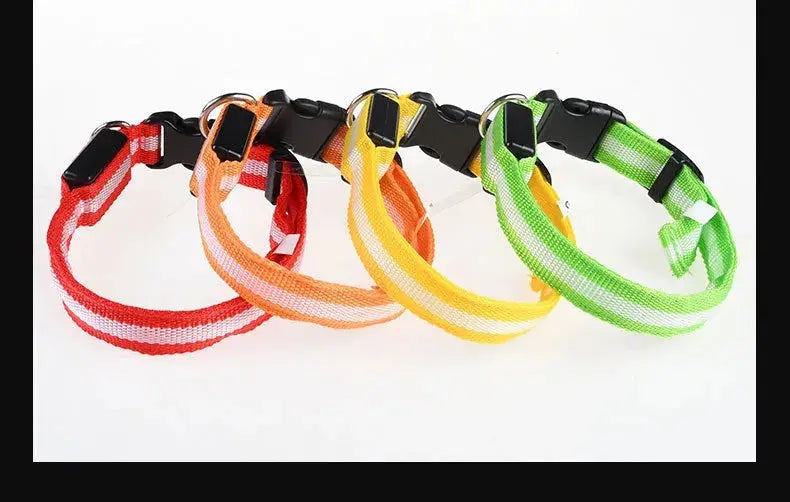 Dog Collar Nylon LED Night Safety Flashing Glow In The Dark Pet Dog Leash pet Dogs Luminous Fluorescent  dog accessories collar - Big Cart Sky