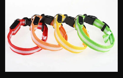 Dog Collar Nylon LED Night Safety Flashing Glow In The Dark Pet Dog Leash pet Dogs Luminous Fluorescent  dog accessories collar - Big Cart Sky