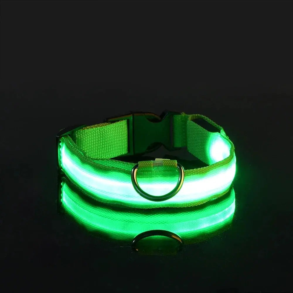 Dog Collar Nylon LED Night Safety Flashing Glow In The Dark Pet Dog Leash pet Dogs Luminous Fluorescent  dog accessories collar - Big Cart Sky