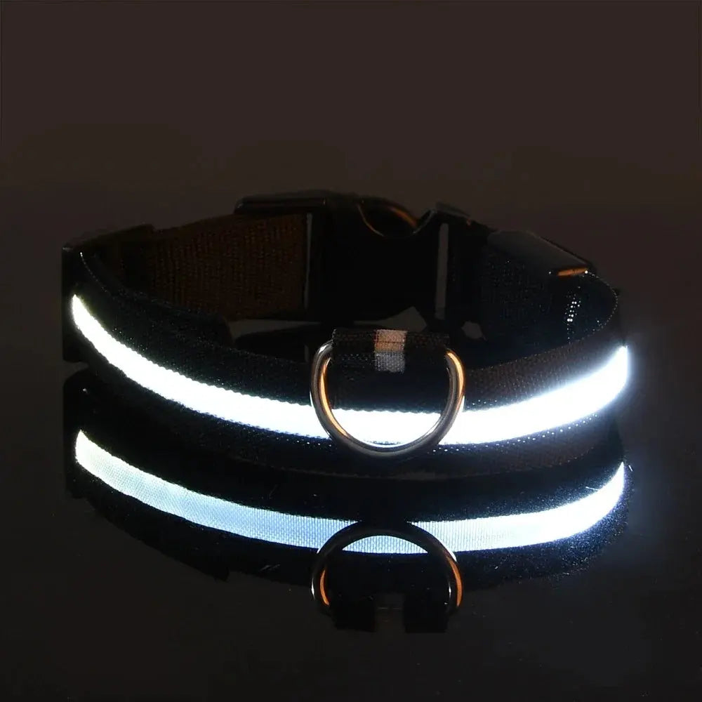 Dog Collar Nylon LED Night Safety Flashing Glow In The Dark Pet Dog Leash pet Dogs Luminous Fluorescent  dog accessories collar - Big Cart Sky