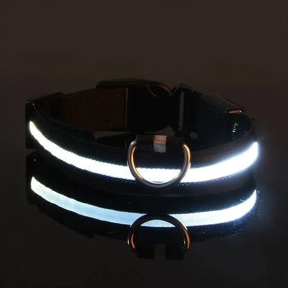 Dog Collar Nylon LED Night Safety Flashing Glow In The Dark Pet Dog Leash pet Dogs Luminous Fluorescent  dog accessories collar - Big Cart Sky