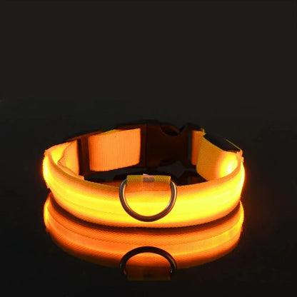 Dog Collar Nylon LED Night Safety Flashing Glow In The Dark Pet Dog Leash pet Dogs Luminous Fluorescent  dog accessories collar - Big Cart Sky
