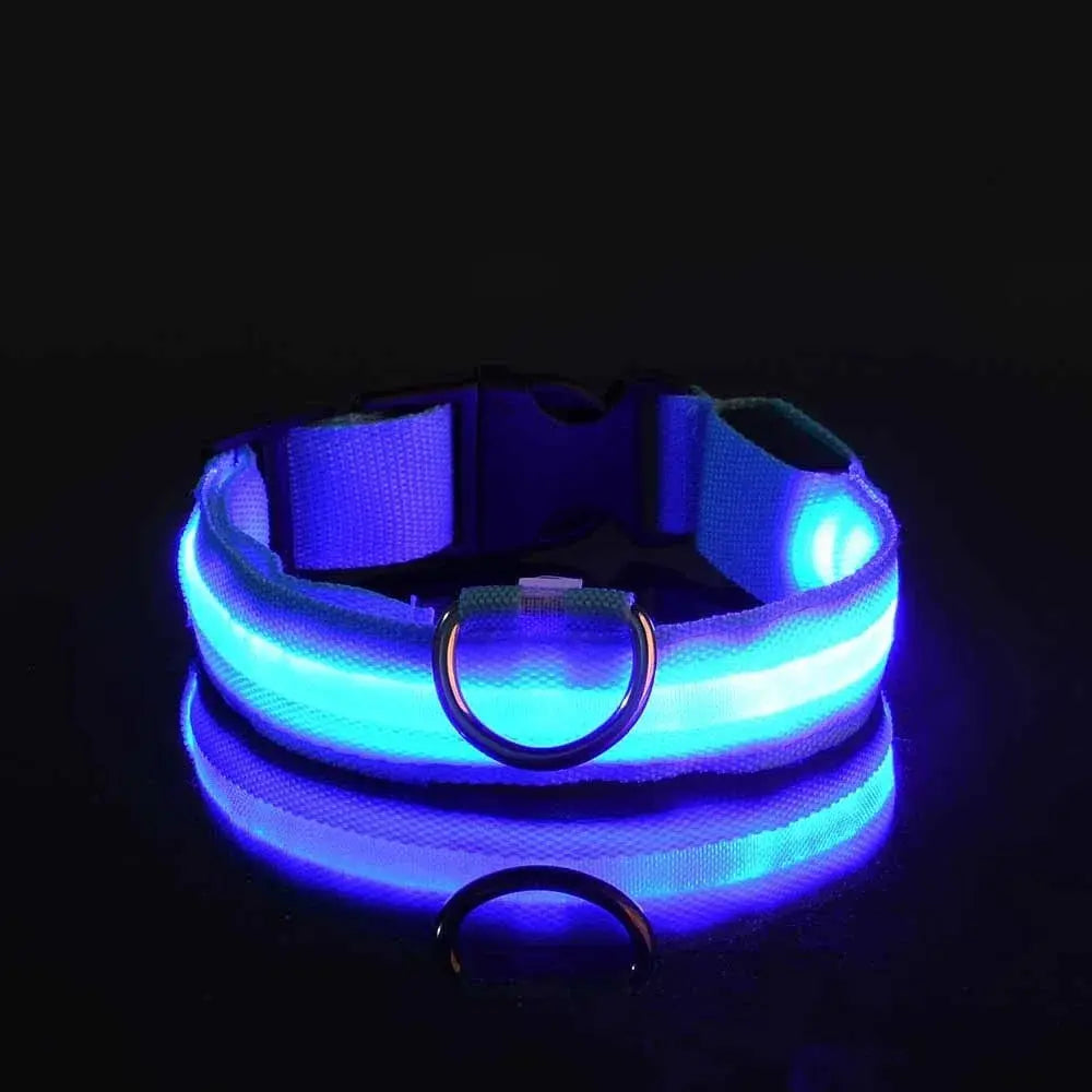 Dog Collar Nylon LED Night Safety Flashing Glow In The Dark Pet Dog Leash pet Dogs Luminous Fluorescent  dog accessories collar - Big Cart Sky