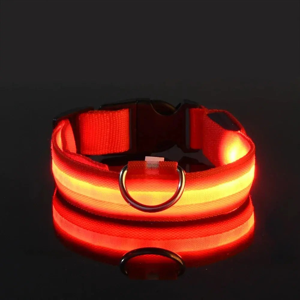 Dog Collar Nylon LED Night Safety Flashing Glow In The Dark Pet Dog Leash pet Dogs Luminous Fluorescent  dog accessories collar - Big Cart Sky