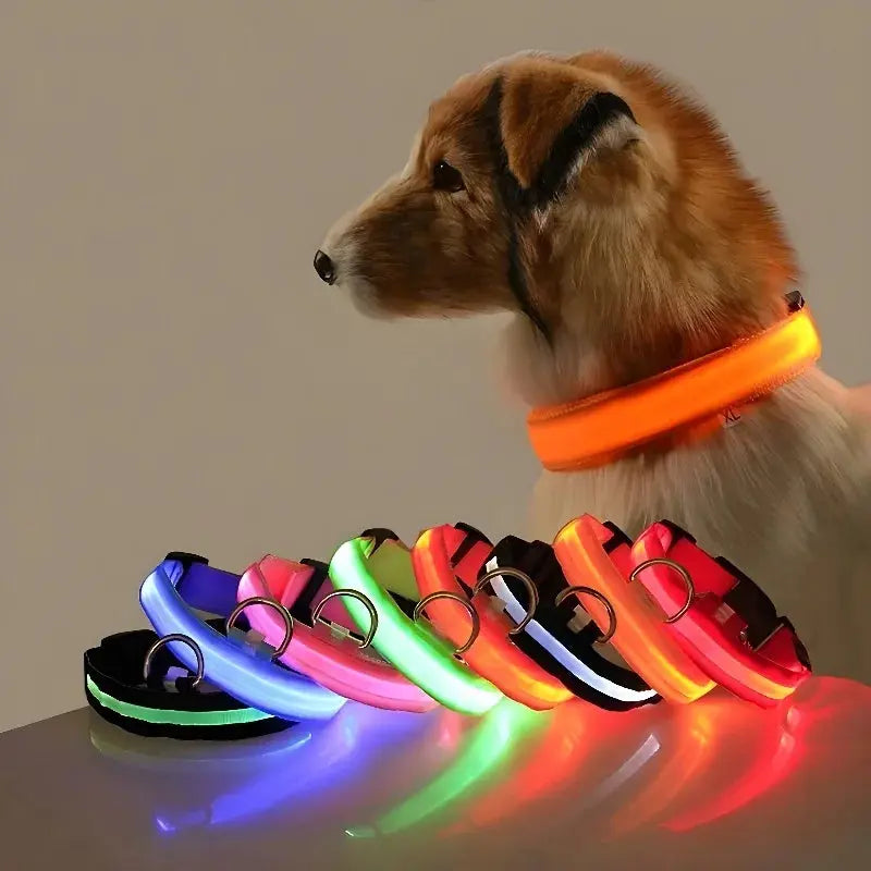 Dog Collar Nylon LED Night Safety Flashing Glow In The Dark Pet Dog Leash pet Dogs Luminous Fluorescent  dog accessories collar - Big Cart Sky