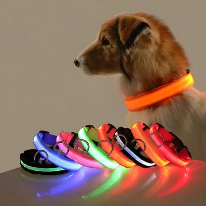 Dog Collar Nylon LED Night Safety Flashing Glow In The Dark Pet Dog Leash pet Dogs Luminous Fluorescent  dog accessories collar - Big Cart Sky