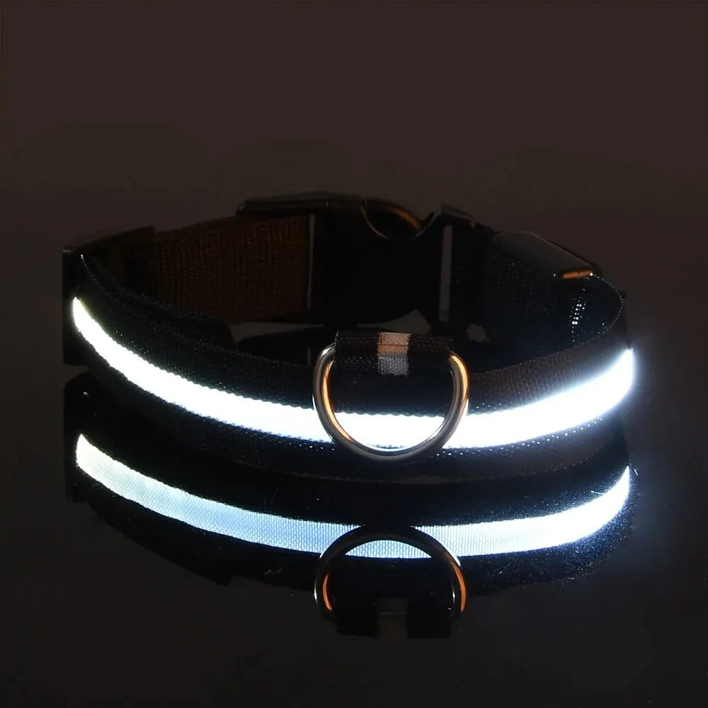 Dog Collar Nylon LED Night Safety Flashing Glow In The Dark Pet Dog Leash pet Dogs Luminous Fluorescent  dog accessories collar - Big Cart Sky