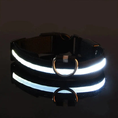 Dog Collar Nylon LED Night Safety Flashing Glow In The Dark Pet Dog Leash pet Dogs Luminous Fluorescent  dog accessories collar - Big Cart Sky