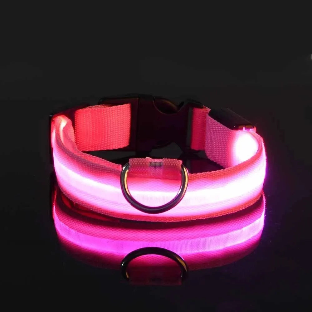 Dog Collar Nylon LED Night Safety Flashing Glow In The Dark Pet Dog Leash pet Dogs Luminous Fluorescent  dog accessories collar - Big Cart Sky