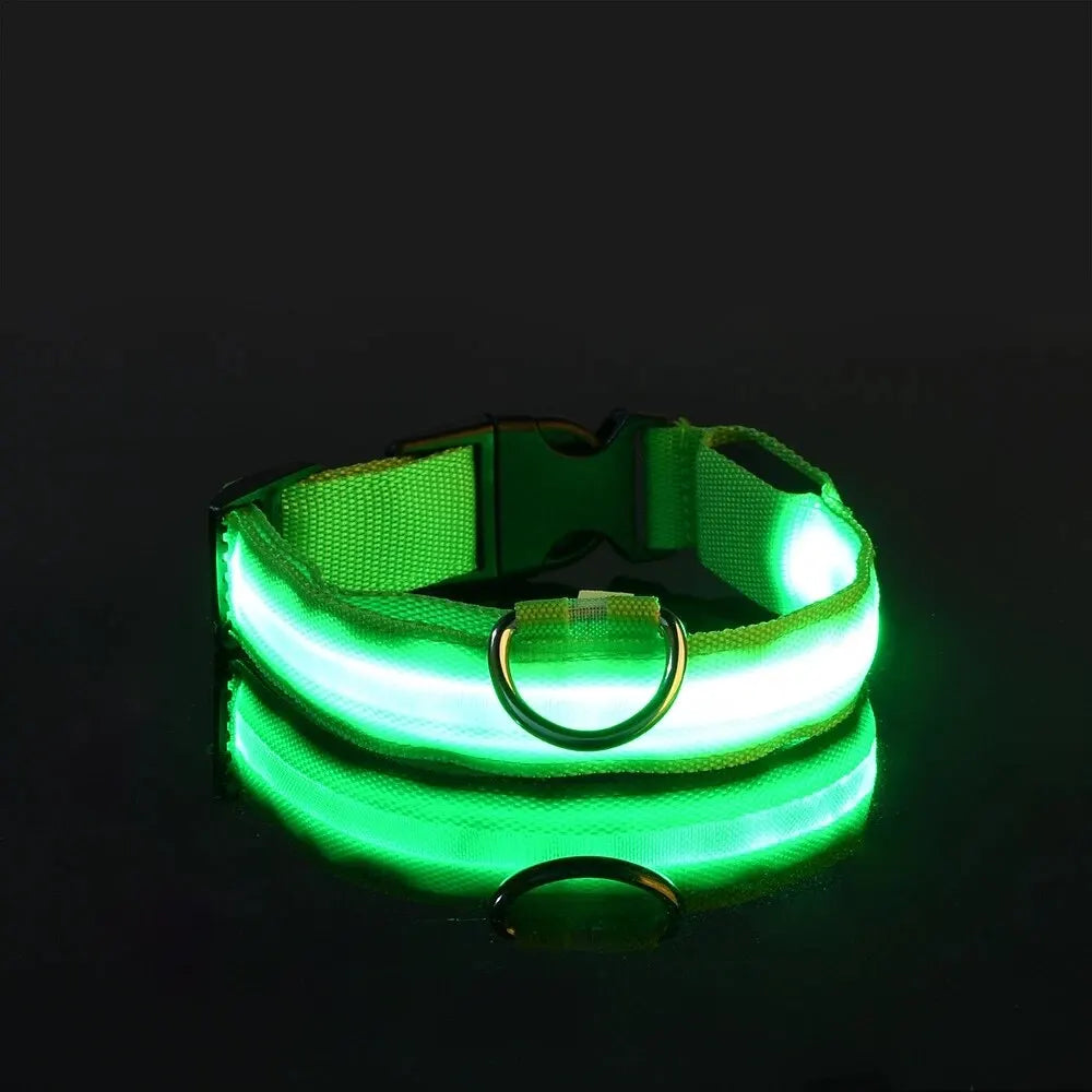 Dog Collar Nylon LED Night Safety Flashing Glow In The Dark Pet Dog Leash pet Dogs Luminous Fluorescent  dog accessories collar - Big Cart Sky