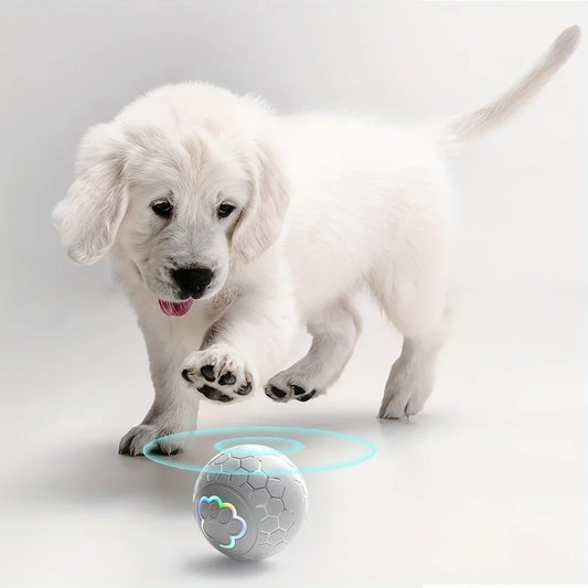 Ultimate Bounce & Chew Dog Ball – Built for Play, Loved by Dogs - Big Cart Sky
