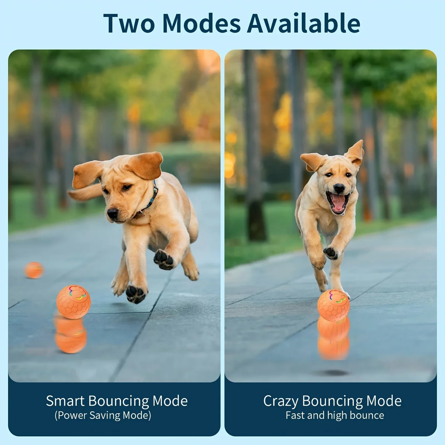 Smart Interactive Dog Toy Ball – USB Rechargeable, Automatic Bouncing & Rolling with RGB Lights for Dogs & Cats - Big Cart Sky