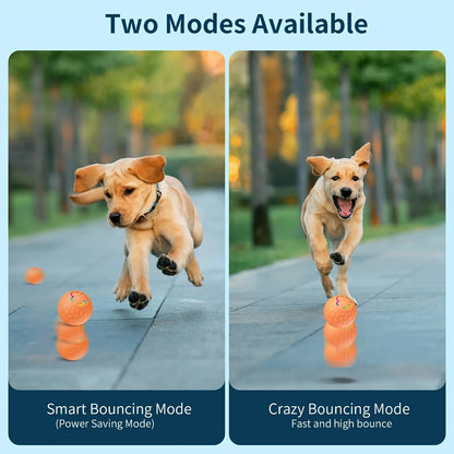 Smart Interactive Dog Toy Ball – USB Rechargeable, Automatic Bouncing & Rolling with RGB Lights for Dogs & Cats - Big Cart Sky