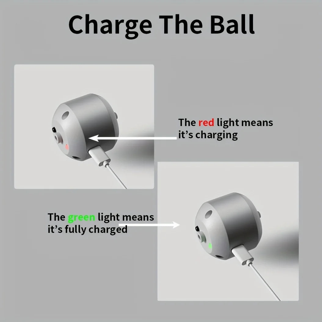 Smart Interactive Dog Toy Ball – USB Rechargeable, Automatic Bouncing & Rolling with RGB Lights for Dogs & Cats - Big Cart Sky